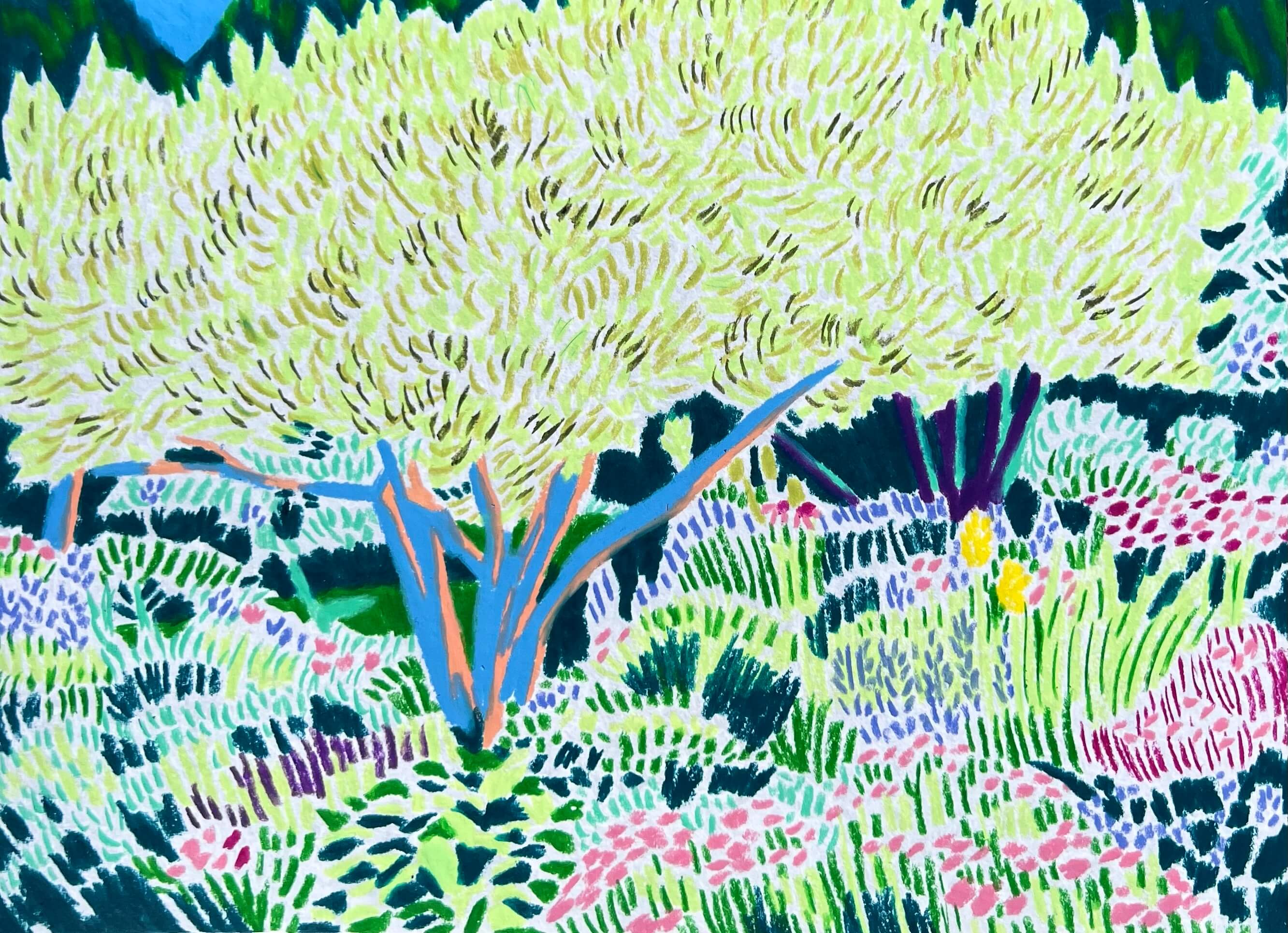 Stewart Create! Magazine